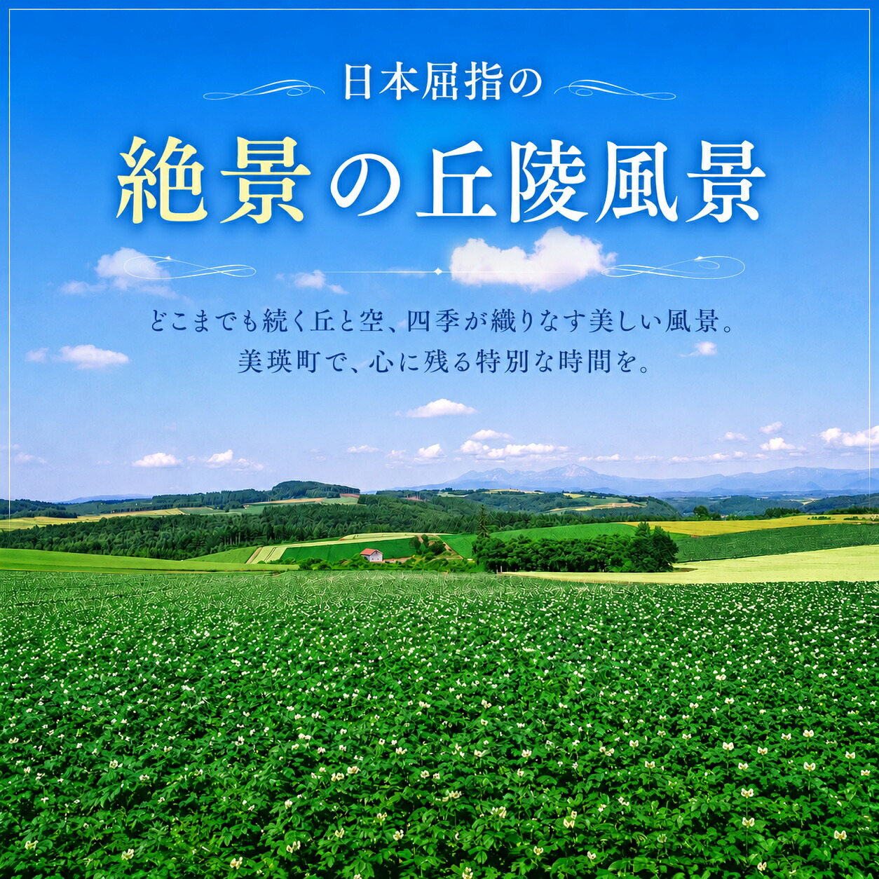 【ふるさと納税】北海道美瑛町の対象施設で使える 選べる 宿泊クーポン券 5,000円 1枚 6枚 9枚 15枚 30枚 50枚 2