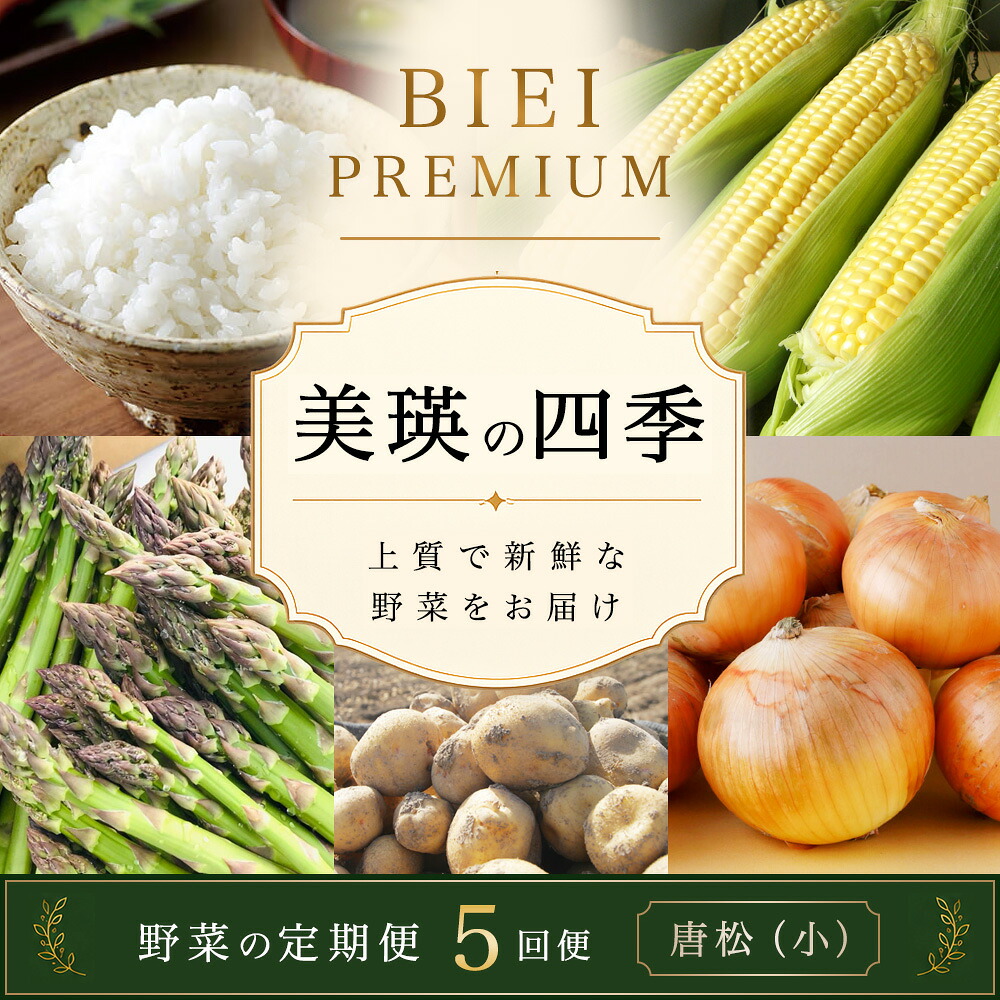 【先行予約】令和9年産【ふるさと納税】野菜 定期便 5回便 美瑛の四季～唐松～ 美瑛米 アスパラ とうもろこし じゃがいも 玉ねぎ