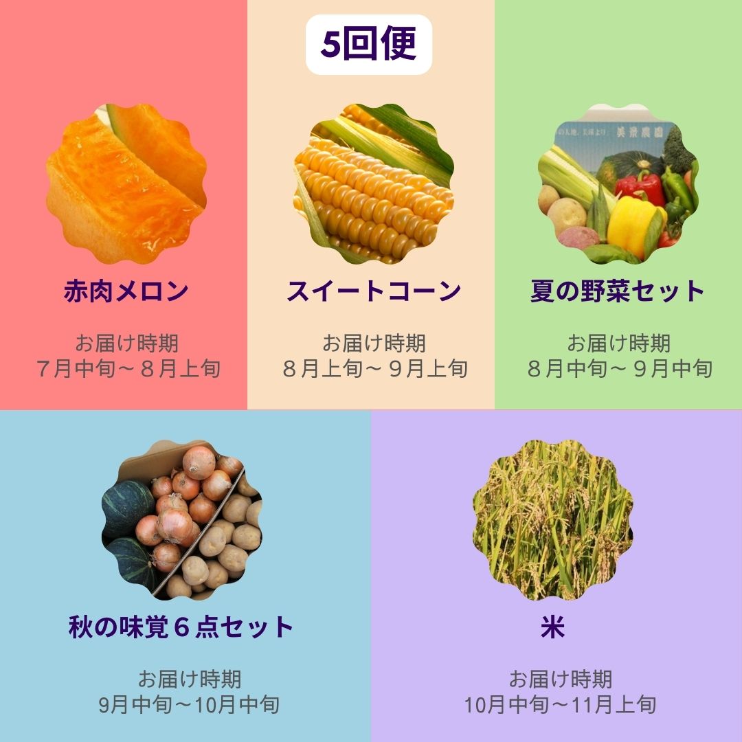 【ふるさと納税】野菜 定期便【令和9年産 先行予約】5回便 6回便 野菜セット 美景農園 アスパラ メロン とうもろこし 夏野菜 秋野菜 米 2