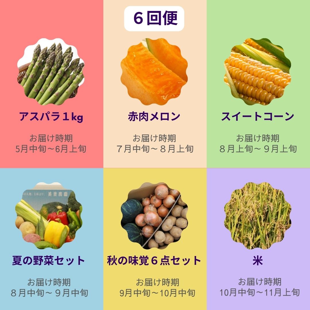 【ふるさと納税】野菜 定期便【令和9年産 先行予約】5回便 6回便 野菜セット 美景農園 アスパラ メロン とうもろこし 夏野菜 秋野菜 米 3