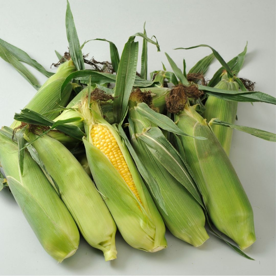 【ふるさと納税】野菜 定期便【令和9年産 先行予約】5回便 6回便 野菜セット 美景農園 アスパラ メロン とうもろこし 夏野菜 秋野菜 米 6