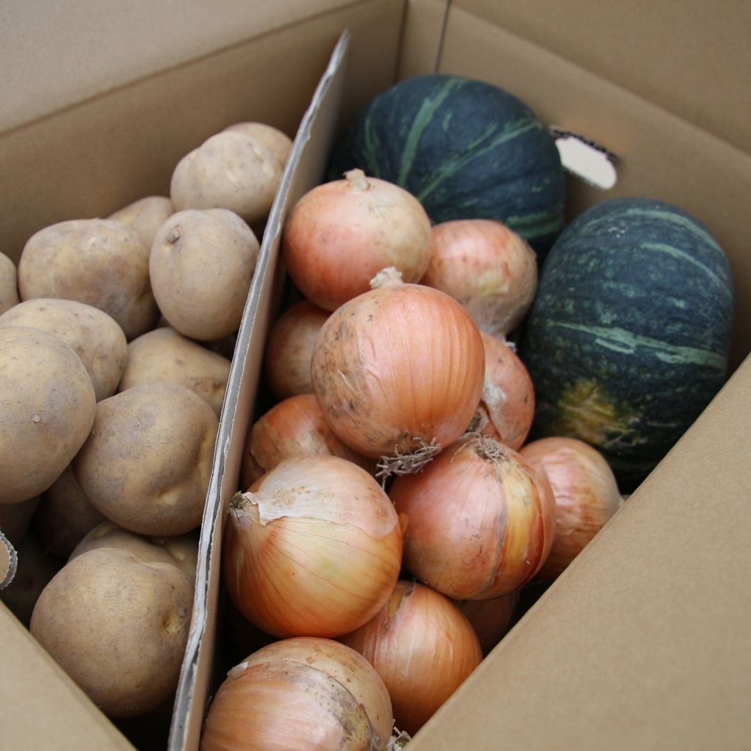 【ふるさと納税】野菜 定期便【令和9年産 先行予約】5回便 6回便 野菜セット 美景農園 アスパラ メロン とうもろこし 夏野菜 秋野菜 米 8