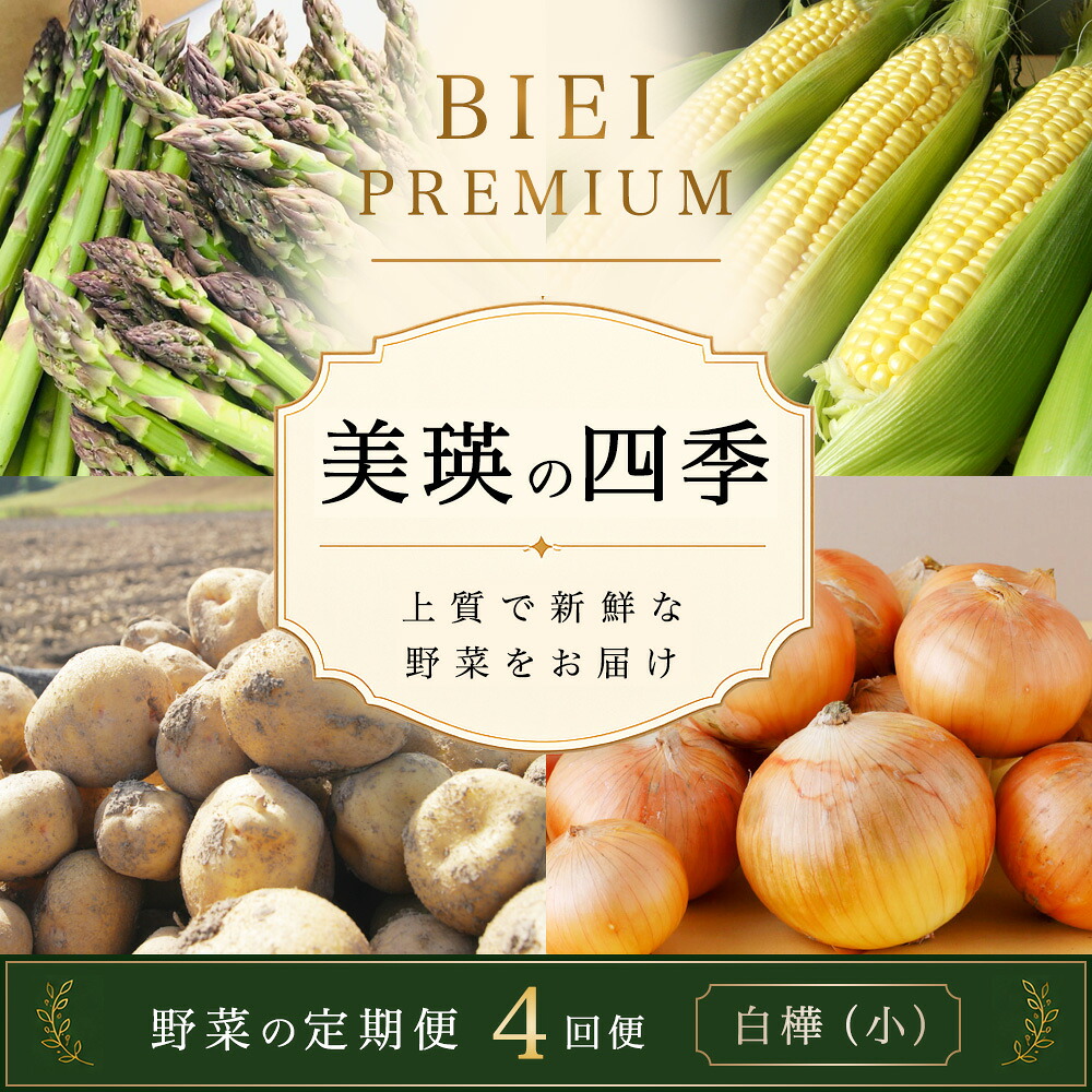 【先行予約】令和9年産【ふるさと納税】野菜 定期便 4回便 美瑛の四季～白樺～ アスパラ とうもろこし じゃがいも 玉ねぎ