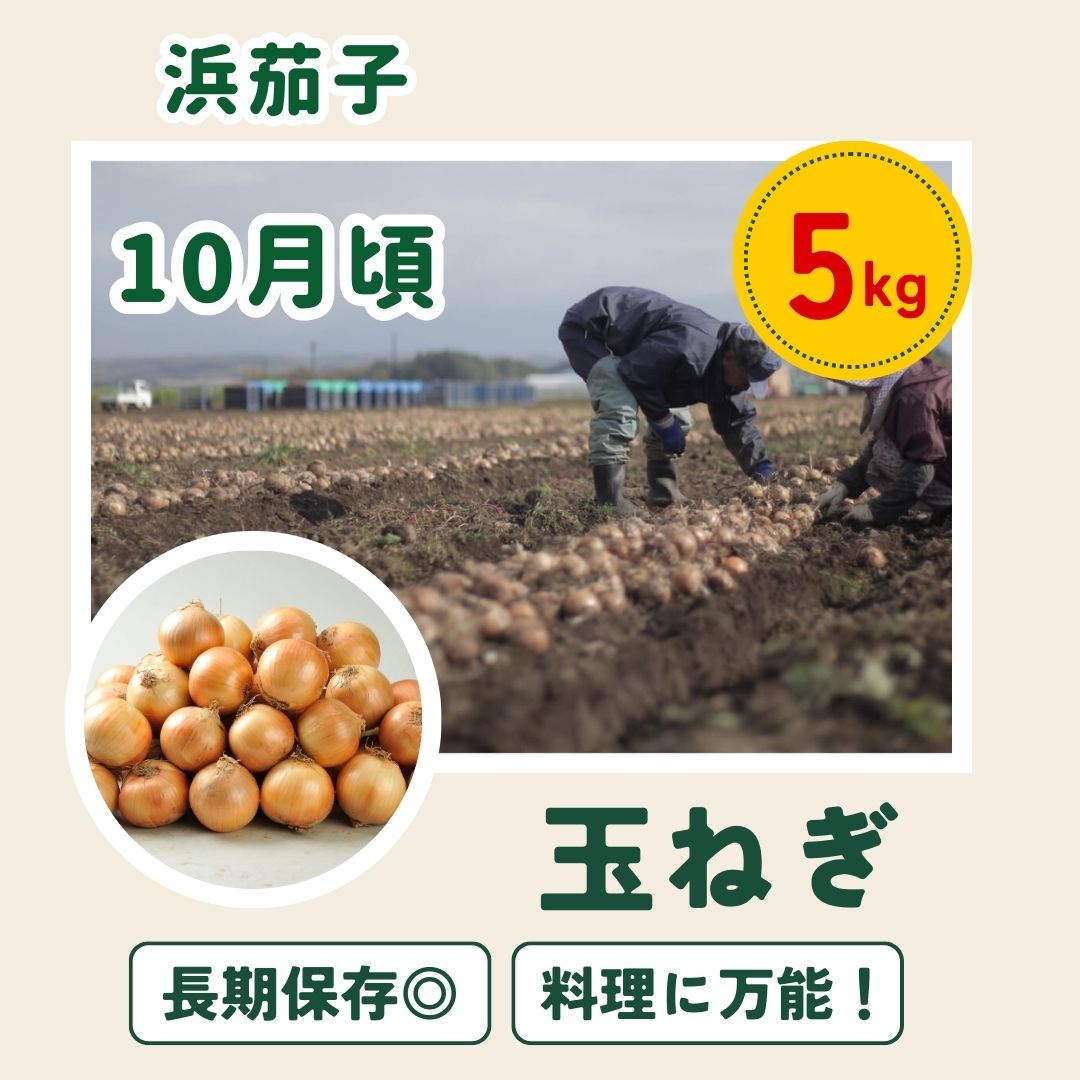 【先行予約】令和9年産【ふるさと納税】野菜 定期便 4回便 美瑛の四季～白樺～ アスパラ とうもろこし じゃがいも 玉ねぎ 9