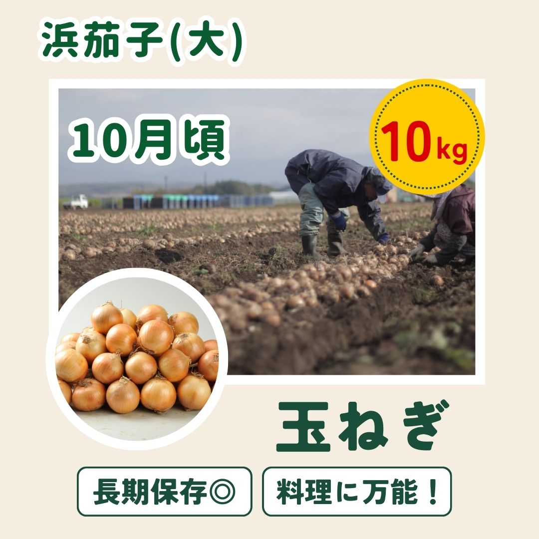 【先行予約】令和9年産【ふるさと納税】野菜 定期便 4回便 美瑛の四季～白樺～ アスパラ とうもろこし じゃがいも 玉ねぎ 10