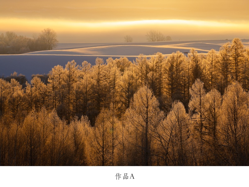 【ふるさと納税】写真家　中西敏貴　額付き写真（サイン入り）北海道　北海道美瑛　北海道美瑛町　美瑛町　美瑛　写真[080-29] 2