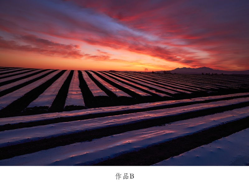 【ふるさと納税】写真家　中西敏貴　額付き写真（サイン入り）北海道　北海道美瑛　北海道美瑛町　美瑛町　美瑛　写真[080-29] 3