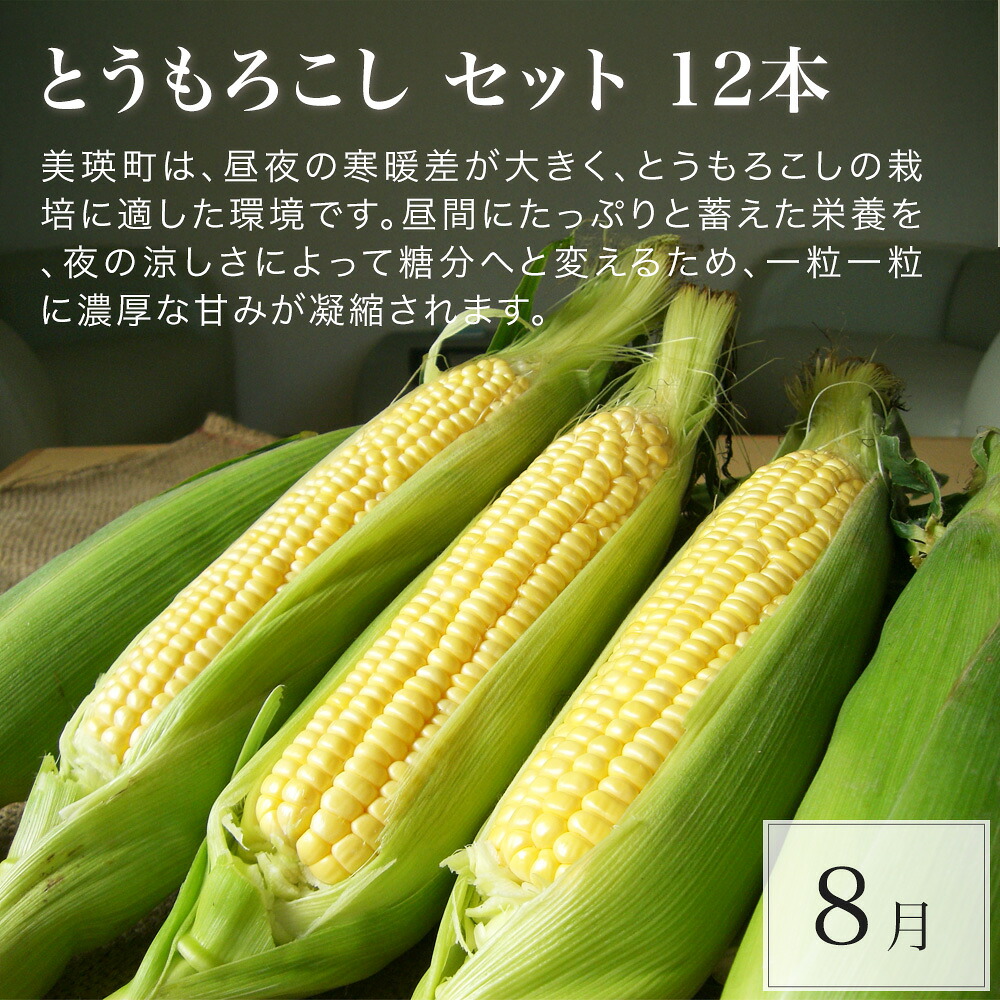 【ふるさと納税】北海道 美瑛 オールスター 定期便 12回便 10