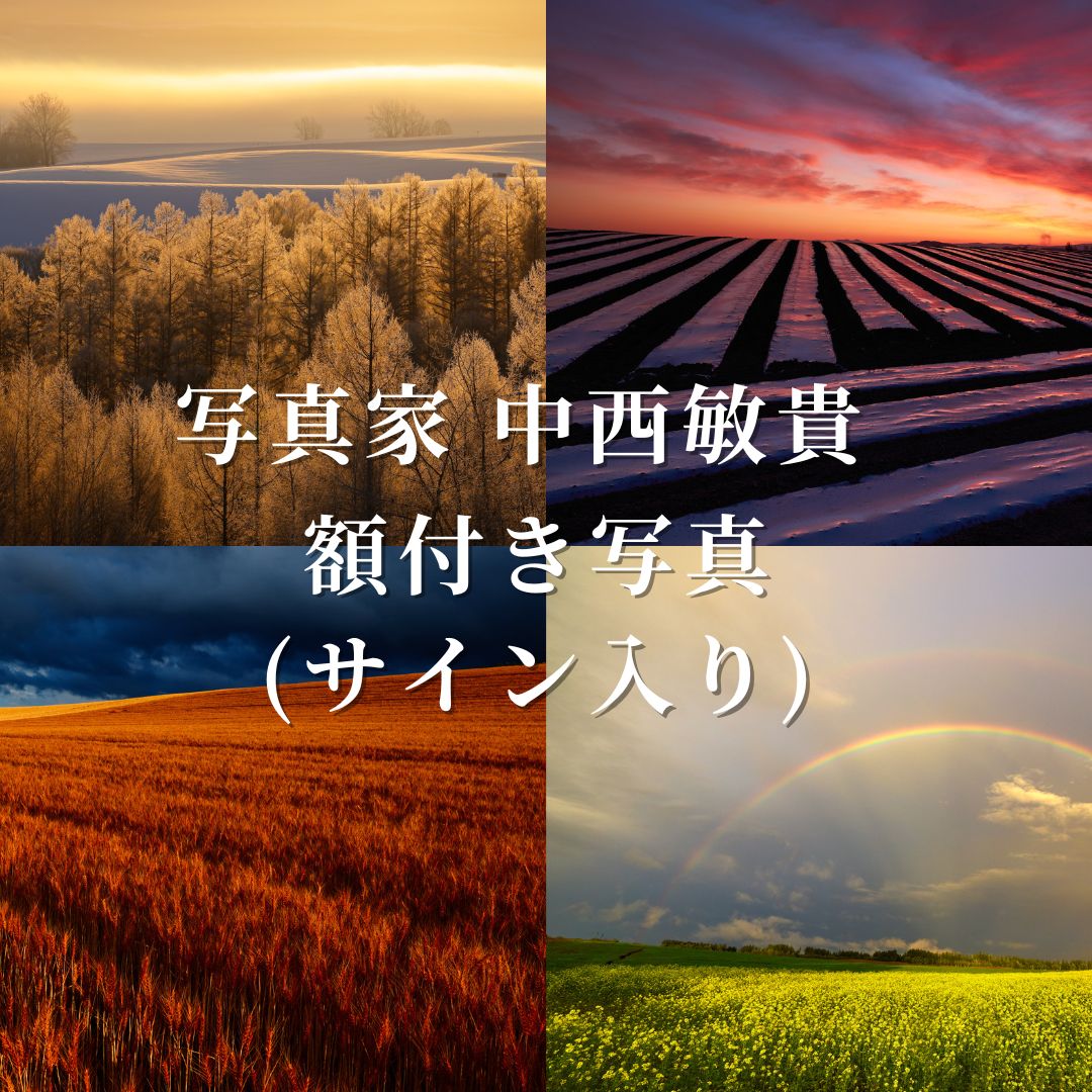 【ふるさと納税】写真家　中西敏貴　額付き写真（サイン入り）　北海道　北海道美瑛　北海道美瑛町　美瑛町　美瑛　写真　[250-04]