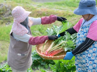 農林業と景観保全のイメージ